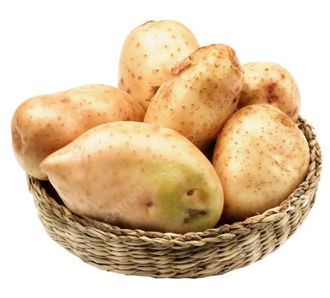 New Harvest Potato Stack Raw Isolated On White White Background Bowl