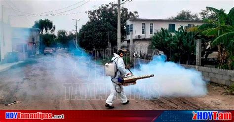 Hoy Tamaulipas Aun Sin Confirmar Presunta Muerte Por Dengue En Tamaulipas