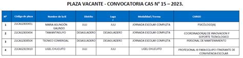 CONVOCATORIA CAS 2023 N 15 INTERVENCIONES Y ACCIONES PEDAGÓGICAS