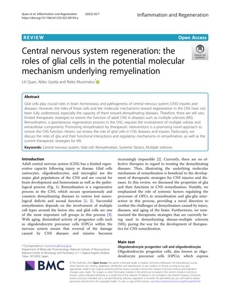 Pdf Central Nervous System Regeneration The Roles Of Glial Cells In The Potential Molecular