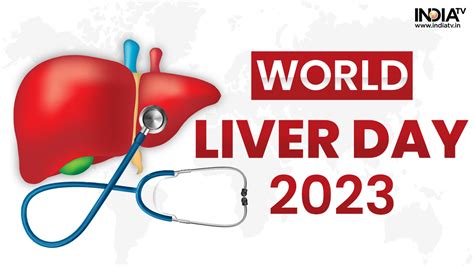 World Liver Day 2023 Quotes Theme Functions Diseases Effects Of