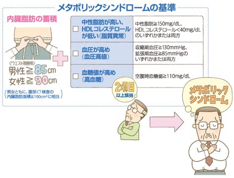 メタボリックシンドロームについて｜病気についてのおはなし｜お薬と病気のなるほどライブラリ｜nipro みんなの健康ひろば