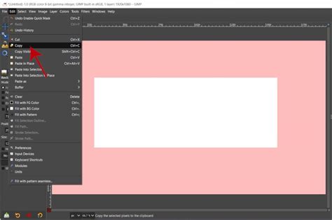 How To Copy And Paste Selections In Gimp Davies Media Design