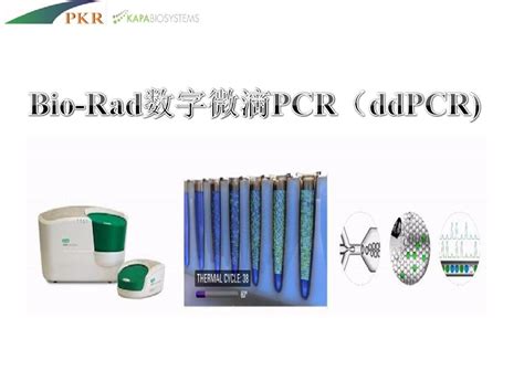 Biorad数字微滴pcrword文档在线阅读与下载免费文档