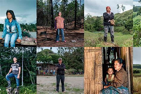 Assassinatos de ativistas ambientais atingem recorde histórico greenMe