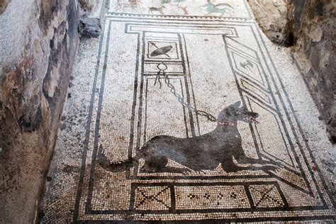 Dog mosaic in Pompeii stock image. Image of architecture - 8257055