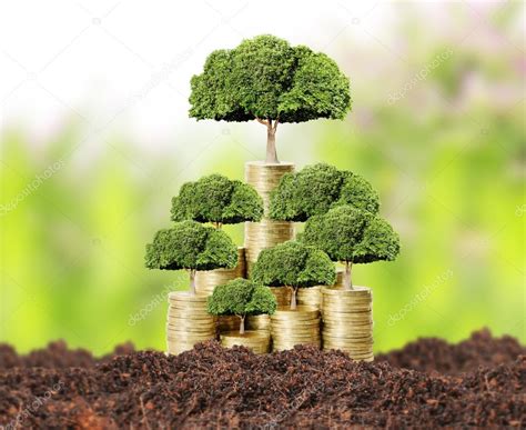 Money Tree Growing From Money Stock Photo Aeydenphumi