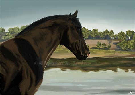 clip clop horse collection  barnulv  deviantart