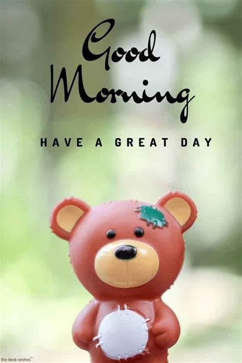 101 Cute Good Morning Teddy Bear Images Best Collection Cute Good