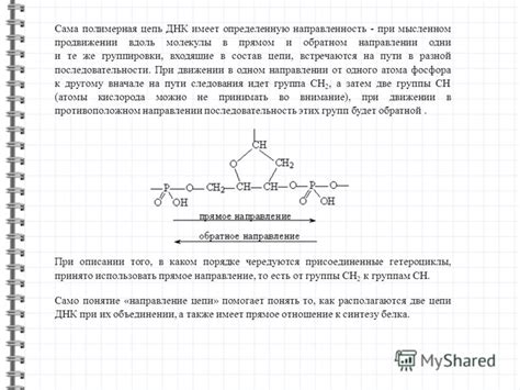 Презентация на тему: "Нуклеиновые кислоты Нуклеиновые кислоты ...