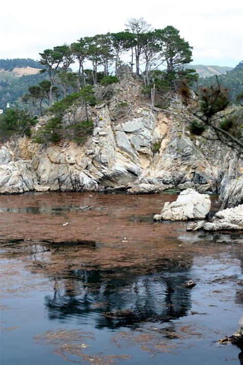 Free Images Sea Coast Tree Rock Wilderness Shore Lake River