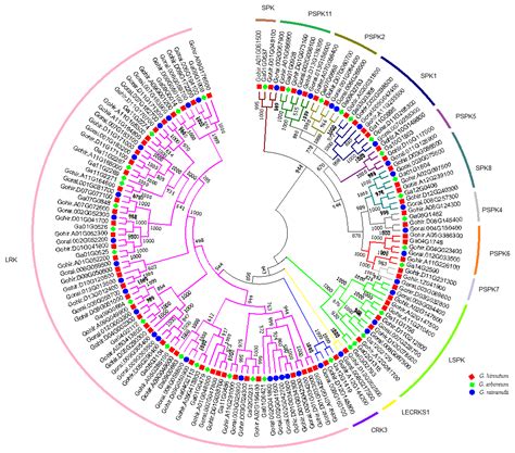 Agronomy Free Full Text Genome Wide Mining And Identification Of