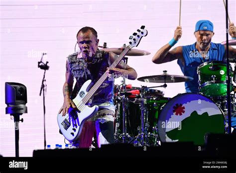 The Meadows Red Hot Chili Peppers In Concert Stock Photo Alamy