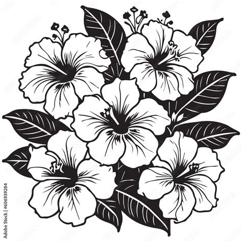 This Is Hibiscus Flower Vector Clipart Illustration Hibiscus Rose