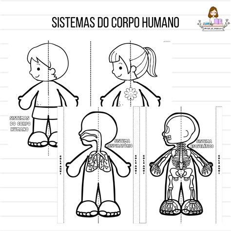 Sistemas Do Corpo Humano Livrinho Interativo Professora Chris