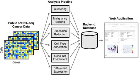 Overview A Schematic Diagram Of The Charts Pipeline Public Scrna Seq Download Scientific