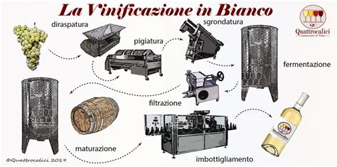 Tipi Di Vinificazione Quattrocalici