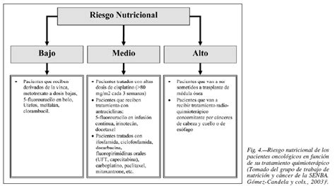 Evaluaci N Del Riesgo Nutricional E Instauraci N De Soporte Nutricional