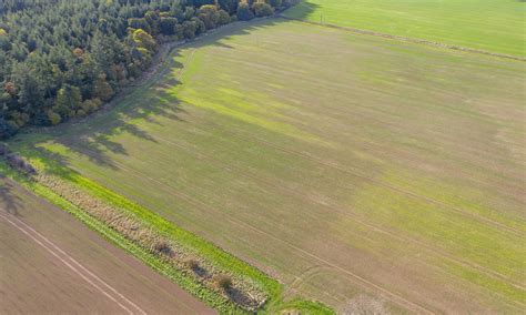 Detecting Black Grass with Drone Data - Drone Ag