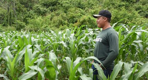 Una Apuesta Por La Agricultura De Conservación Ejemplo De éxito En La