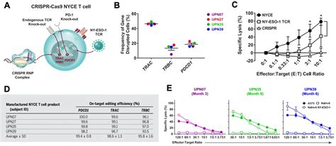 Approaches Towards Biomaterial Mediated Gene Editing For Cancer Immunotherapy Biomaterials