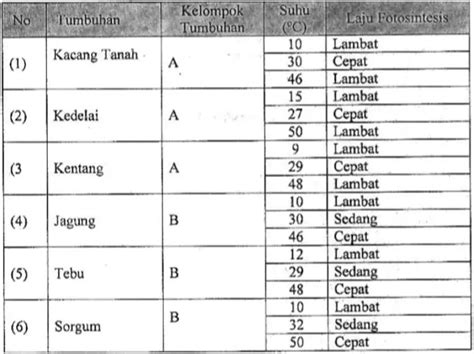 Contoh Soal Percobaan Fotosintesis Smp Ipa Biologi Bahas