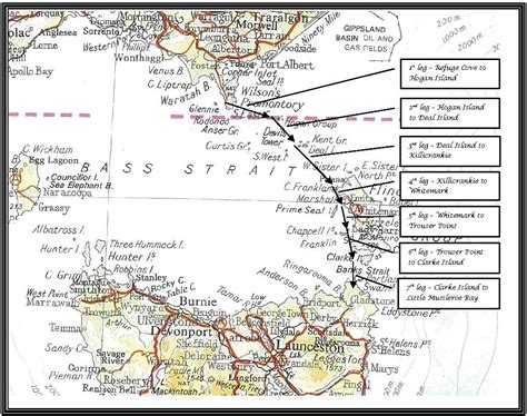 Kayak Bass Strait To End Slavery The Journey