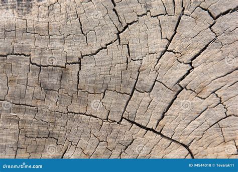 Grietas De Madera Viejas Del Fondo Incons Til De La Textura Foto De