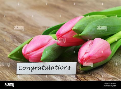 Top 999 Congratulations Flowers Images Amazing Collection