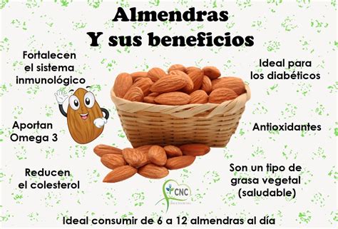 Almendras Y Sus Beneficios Almendras Beneficios Beneficios De