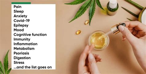 What Is Cbd Benefits And Uses Green Factor Cbd S Blog