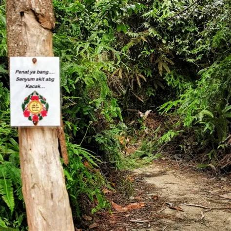 Gunung Angsi Hiking From Bukit Putus My First Hand Experience