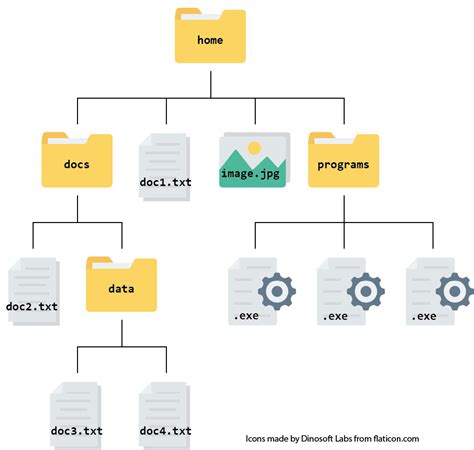 Computational Analysis For Bioscientists Understanding File Systems