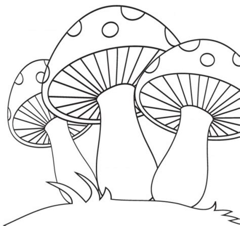 Dibujos Del Reino Fungi Reino Fungi