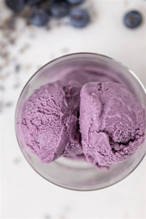 Blueberry Lavender Ice Cream Wyse Guide