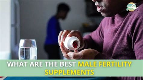 Best Male Fertility Supplements 2023 Ivfix