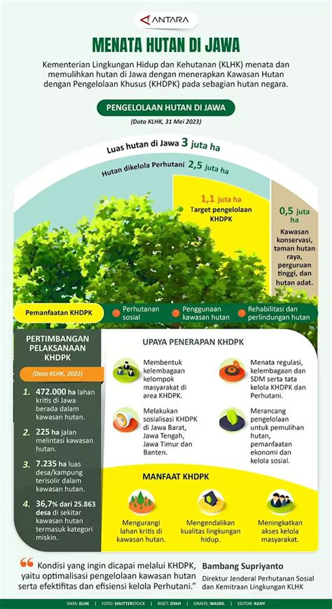 Menata Hutan Di Jawa Infografik ANTARA News Indonesia Head Topics