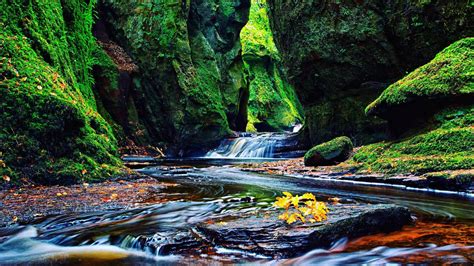 Beautiful Scenery Nature Desktop Background Algae Covered Rocks ...
