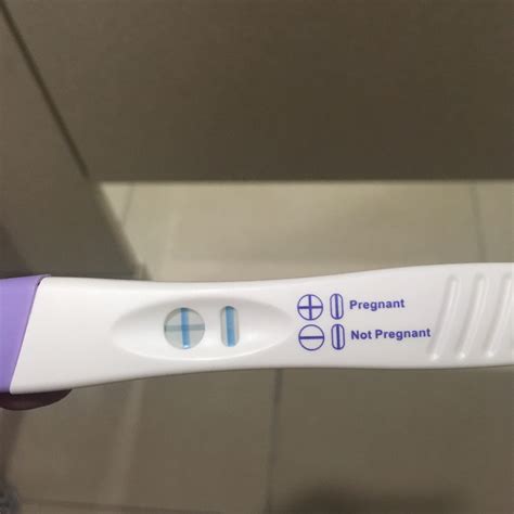 Pregnancy Test Result In At Merrill Lavallee Blog