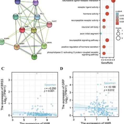 Ppi Networks And Functional Enrichment Analyses Of Nmb A A Network