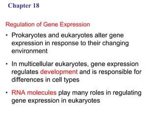 Chapter Gene Expression Ppt