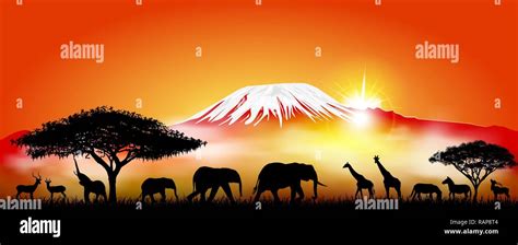 Mount kilimanjaro animals Stock Vector Images - Alamy