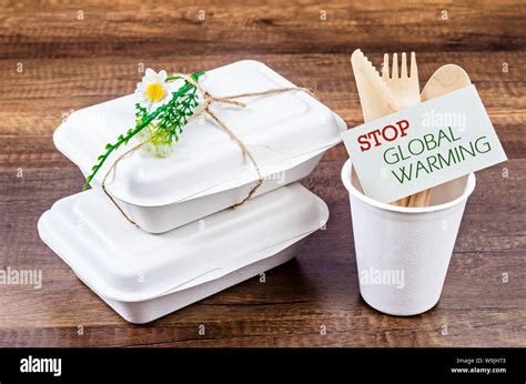 Biodegradable Food Box With Stop Global Warming Tag Eco Friendly