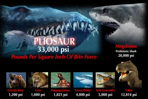 Pliosaur Bite Force | Vengeance from the Deep - Pliosaur