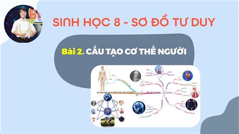 SINH HỌC 8 BÀI 2 CẤU TẠO CHUNG CỦA CƠ THỂ SƠ ĐỒ TƯ DUY YouTube