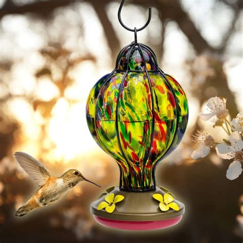 Glass Hummingbird Feeder