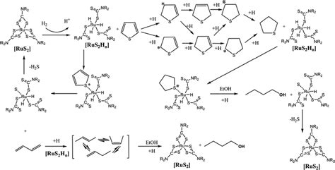 Possible mechanism of thiophene hydrodesulfurization on RuS2 catalyst ...