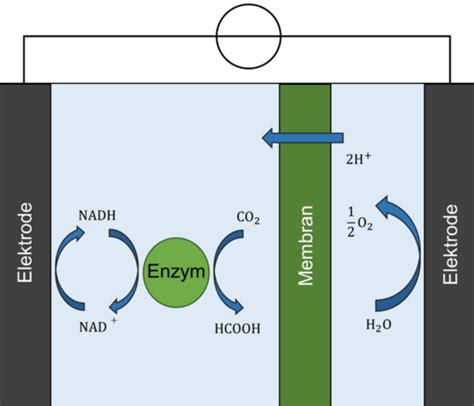 Reducto Electrochemical Reduction Of Co2 Universität Bremen