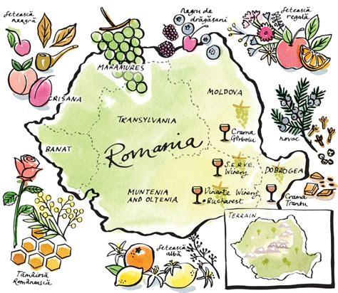 Romanian Wine Map | Domestika