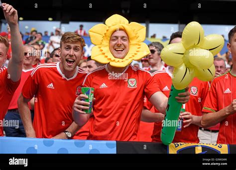 Welsh Football Fans Hi Res Stock Photography And Images Alamy